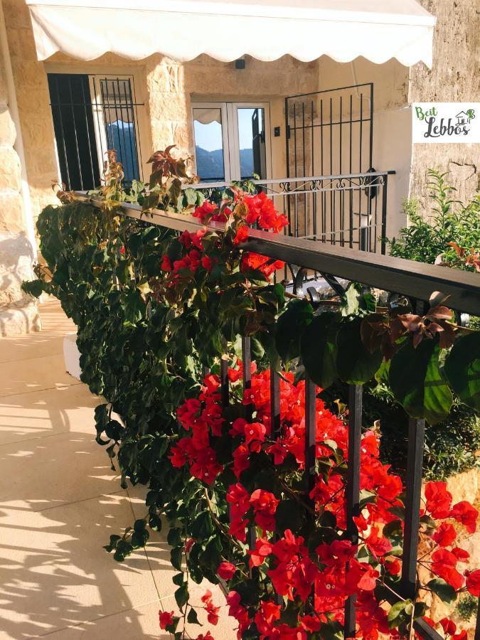 בית אד דינה Beit Lebbos Boutique Hotel מראה חיצוני תמונה